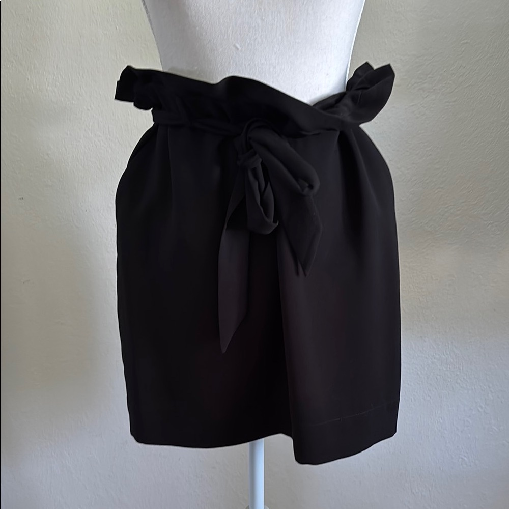 NWT Express High Waisted Paperbag Mini Skirt - Picture 6 of 8